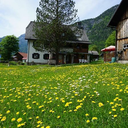 Apartment Haider 1 Obertraun Luaran gambar