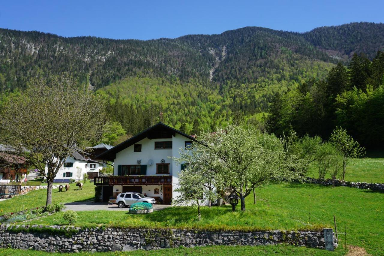 Apartment Haider 1 Obertraun Luaran gambar